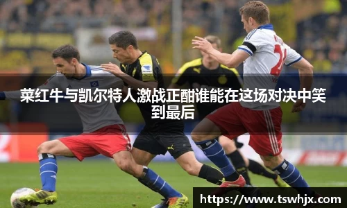 菜红牛与凯尔特人激战正酣谁能在这场对决中笑到最后