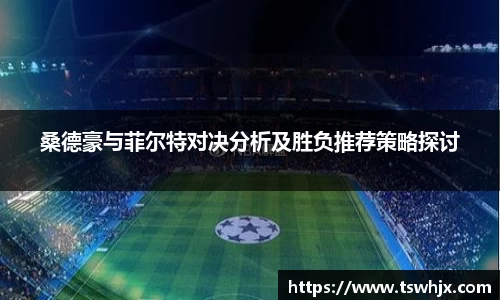 桑德豪与菲尔特对决分析及胜负推荐策略探讨