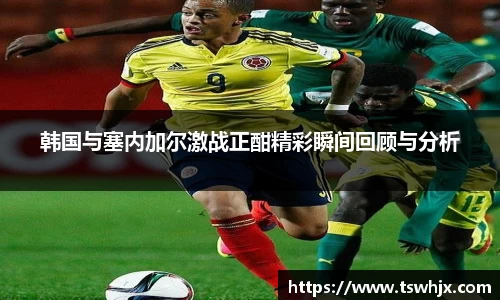 韩国与塞内加尔激战正酣精彩瞬间回顾与分析